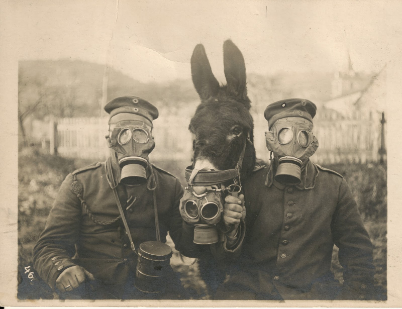 Foto: Universal History Archive / Getty Images.